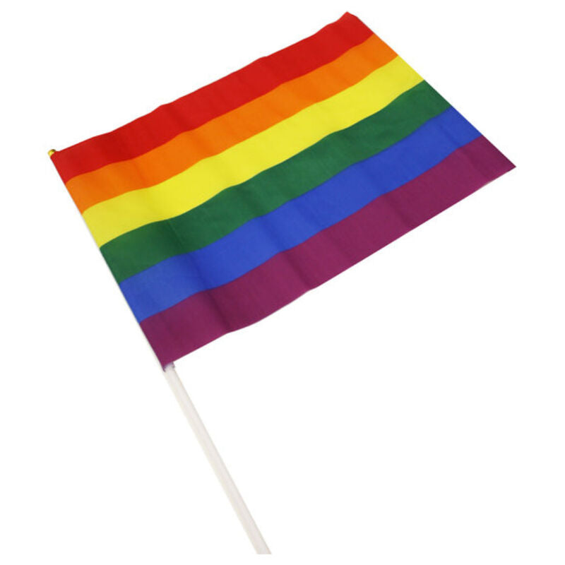 PRIDE - LGBT-FLAGGE MITTELGROSSES WIMPEL